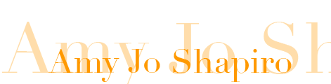 amy jo shapiro name